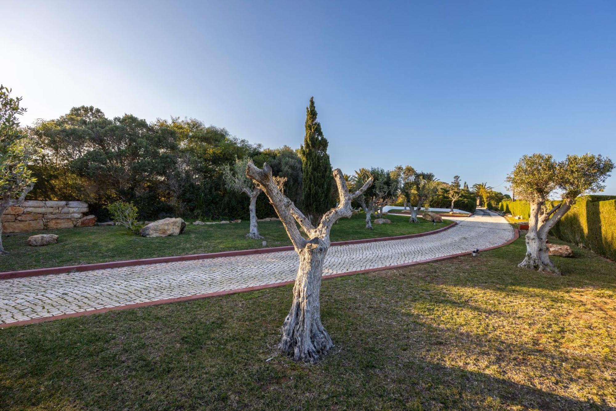 Casa Kube Villa *